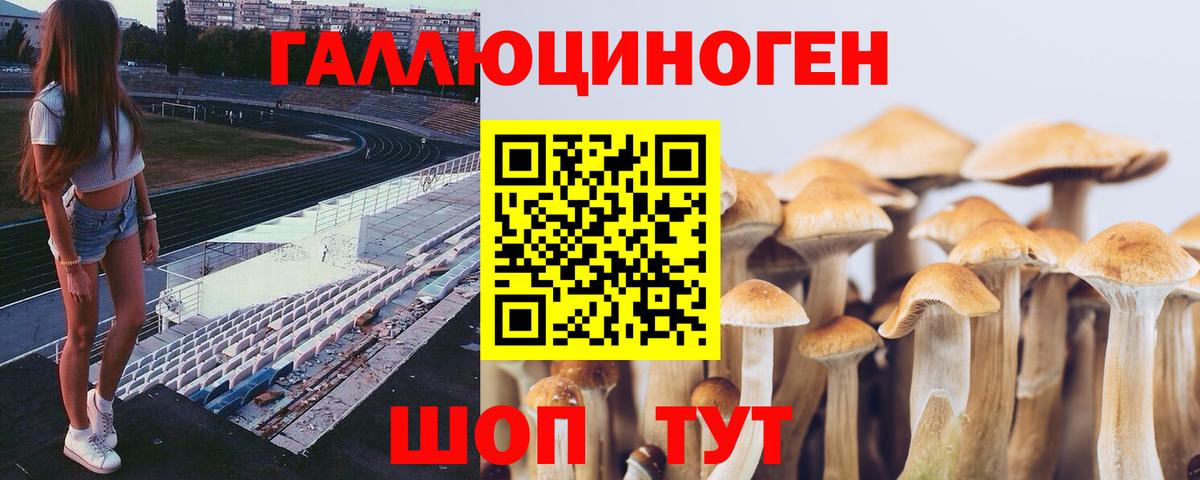 Псилоцибиновые грибы мухоморы Дивногорск